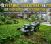 Best Electric Lawn Mowers in 2026